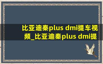 比亚迪秦plus dmi提车视频_比亚迪秦plus dmi提车现场